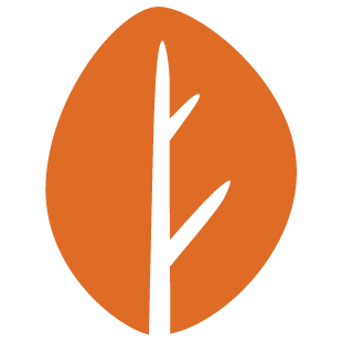 givelevel.com favicon